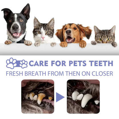 Openanse™ 🍃Say Goodbye to Bad Breath & Plaque — Without Brushing