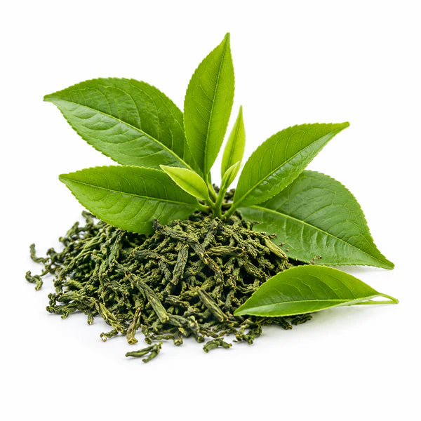 Tea Polyphenols 🍵