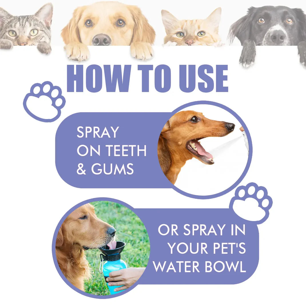 Openanse™ 🍃Say Goodbye to Bad Breath & Plaque — Without Brushing