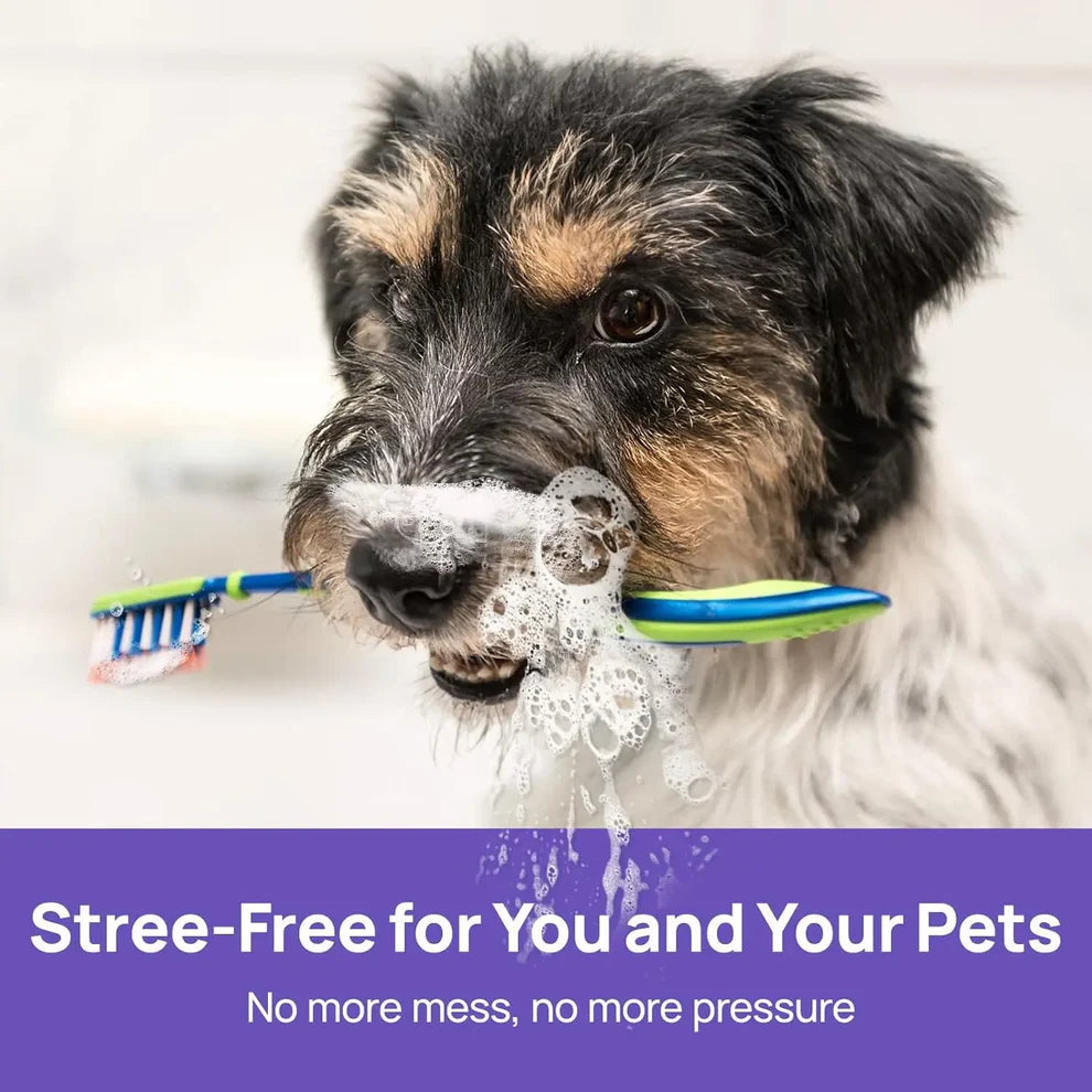 Openanse™ 🍃Say Goodbye to Bad Breath & Plaque — Without Brushing